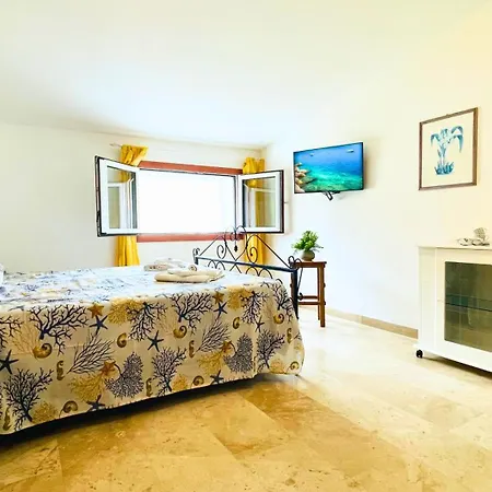 Domo De Aurora - Comfort